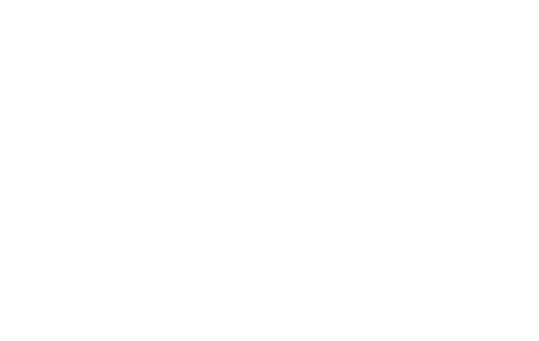 Coer de Lion - Handmade in Germany